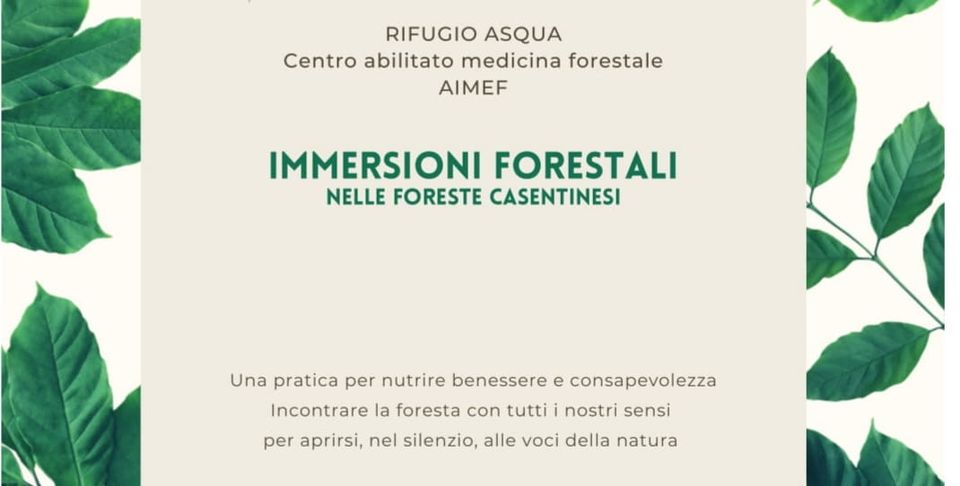 La Magia Di Asqua Immersione Forestale