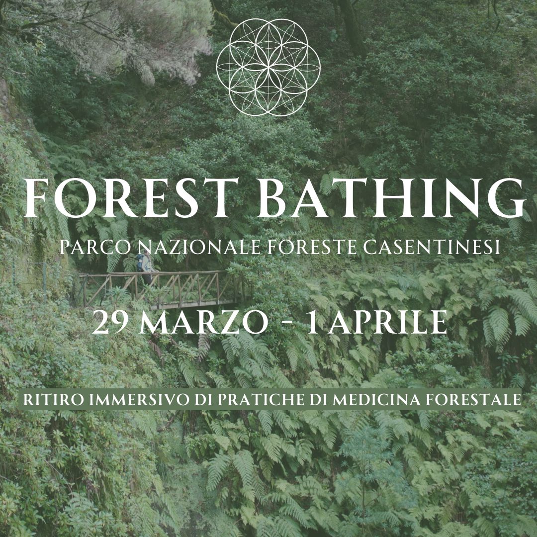 Forest bathing